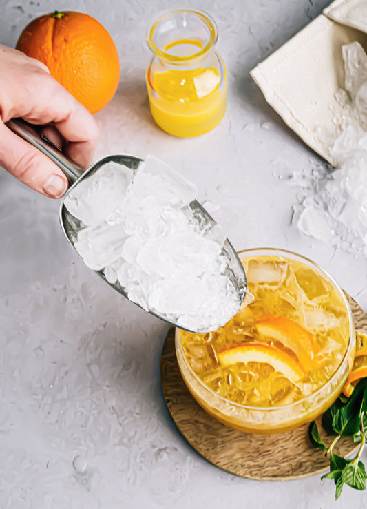 Stainless Steel Ice Scoop
