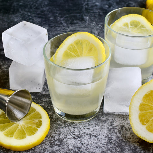 2" Extra-Large 6 Cube Ice Mould