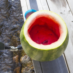 Watermelon Keg Tapping Kit