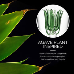 Agave Tequila Decanter