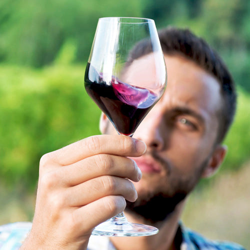 DuraShield Wine Glasses & Decanter | Final Touch