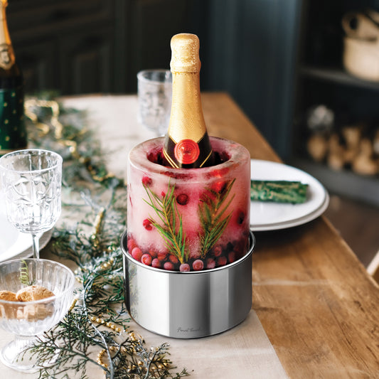 Stainless Steel Ice Bottle Chiller