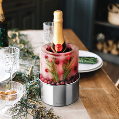 Stainless Steel Ice Bottle Chiller