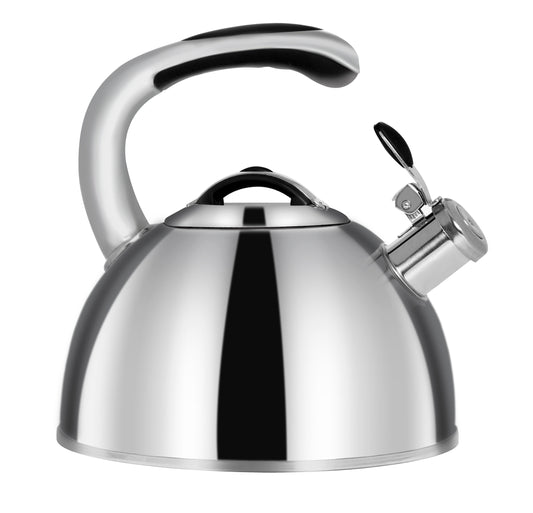 Stainless Steel Kettle