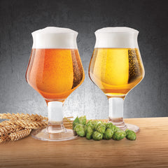 Craft Beer Glasses - Set of 2