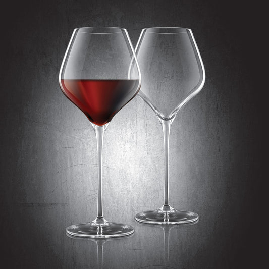 Burgundy Lead-Free Crystal Glasses - Set of 2